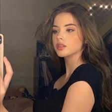 Ani Mulyani profile picture