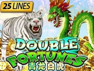 Double Fortunes game icon