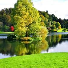 Goenawan Mohamad profile picture