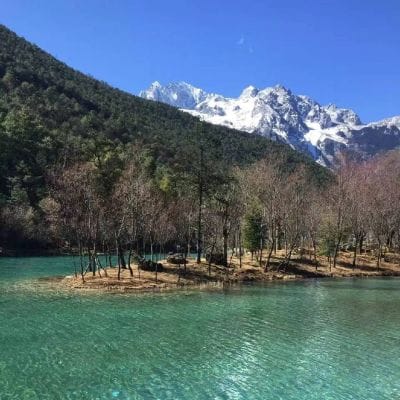 Mari Elka profile picture